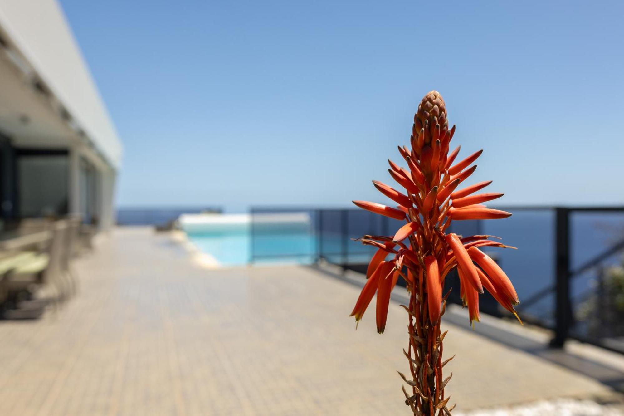 Villa Pascal By Rmz Estreito Da Calheta Exterior foto